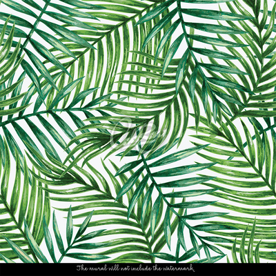 Fototapet O umbră plăcută de frunze de palmier