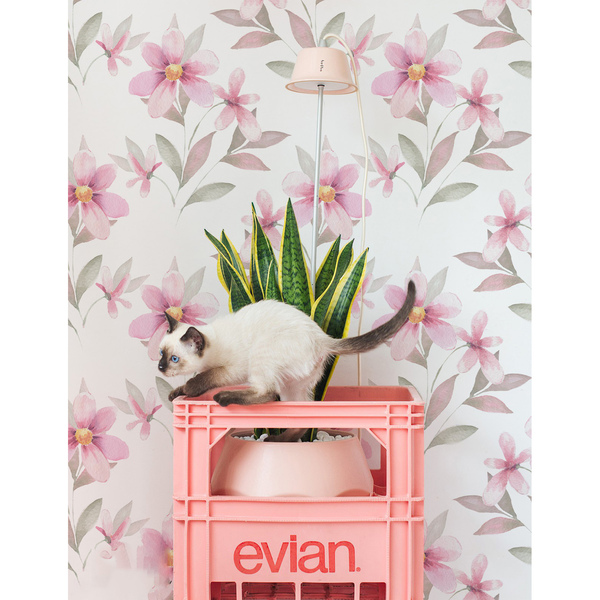 Fototapet Gânditor și romantic