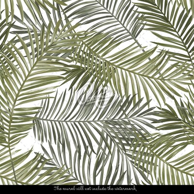 Fototapet Subtile frunze de palmier