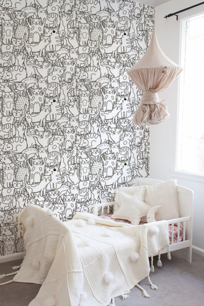 Fototapet Kocia Land