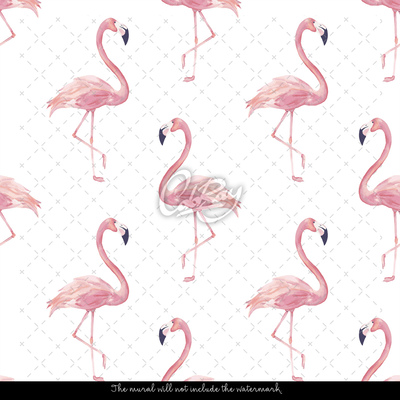 Fototapet Lumea Flamingo