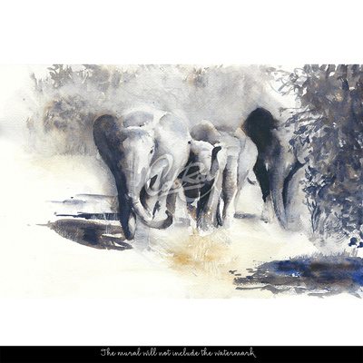 Fototapet Elefanți rătăciți