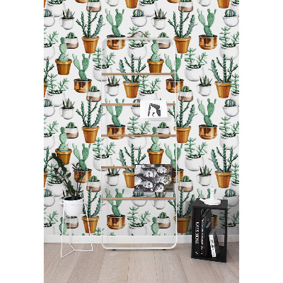 Fototapet Cactusi în ghivece