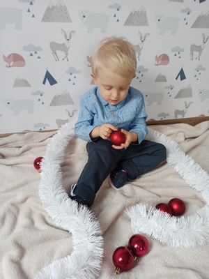 Fototapet Camping într -o pădure plină de animale