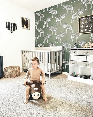 Fototapet Odată aparent, cineva a văzut o alune