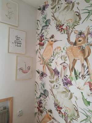 Fototapet Pădure fermecată