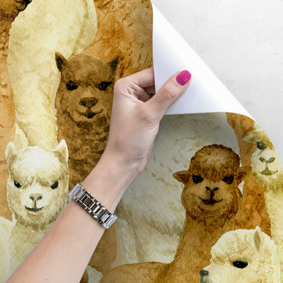 Fototapet O zi cu Alpaca