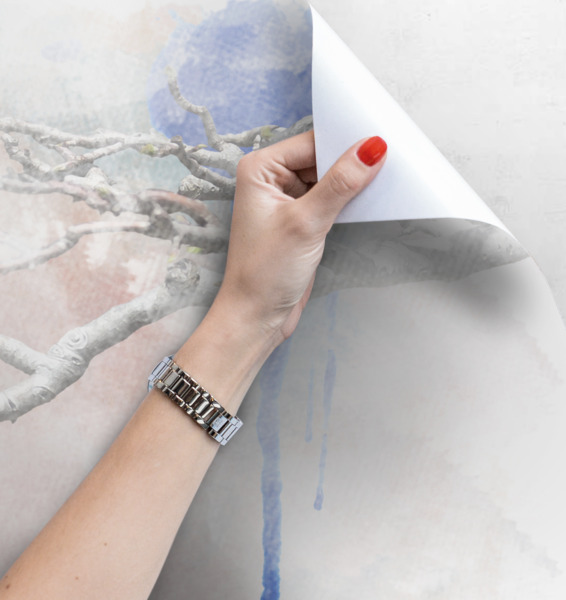 Fototapet Discuții despre păsări