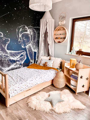 Fototapet Urșii stelari