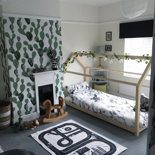 Fototapet Imagine cactus