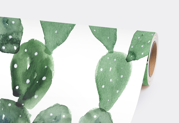 Fototapet Imagine cactus