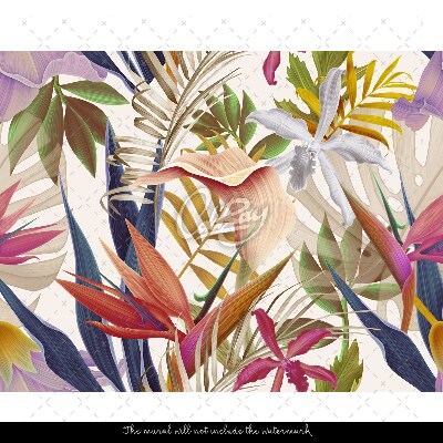 Fototapet Vegetație tropicală curcubeu