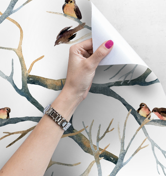 Fototapet Sparrows pe sucursale