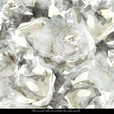 Fototapet Abstracție despre trandafirii albi
