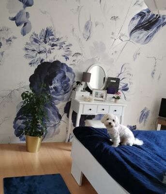 Fototapet Royal Navy Blue