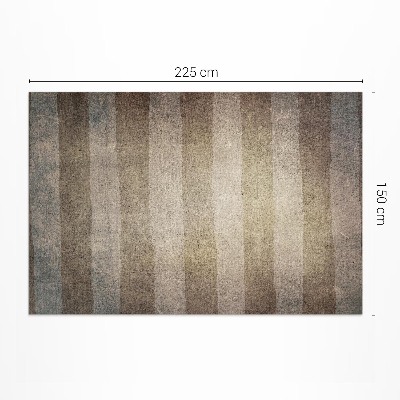 Covor interior din vinil Dungi orizontale stil vintage rustic