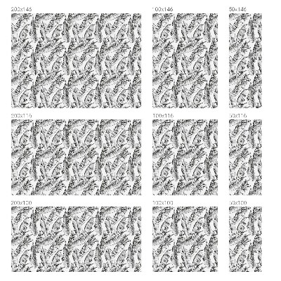 Frunze tropicale Folie decorativă geam vitraliu