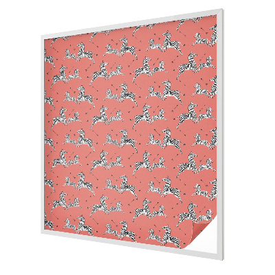 Motivul zebrei Folie geam să nu se vadă din exterior