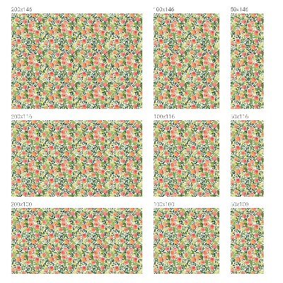 Model de fructe Folie autocolantă geam