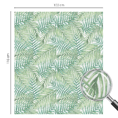 Ferigă verde Folie autocolantă geam