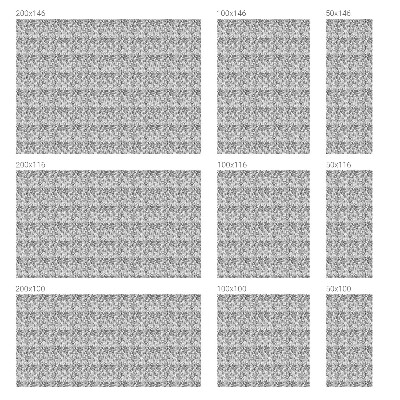 Eleganță florală Folie geam intimitate model vitraliu