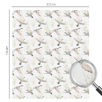 Păsări în natură Folie autocolantă geam