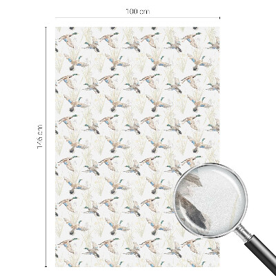 Păsări în natură Folie autocolantă geam