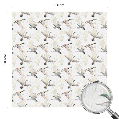 Păsări în natură Folie autocolantă geam