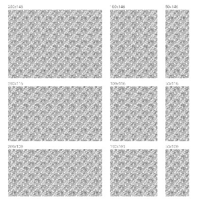 Portrete clasice Folie autocolantă geam