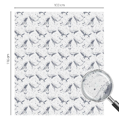 Creaturi marine Folie autocolantă geam