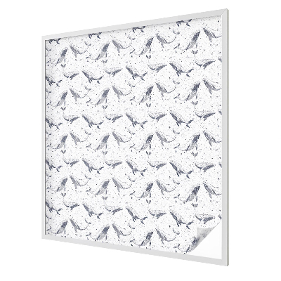 Creaturi marine Folie autocolantă geam