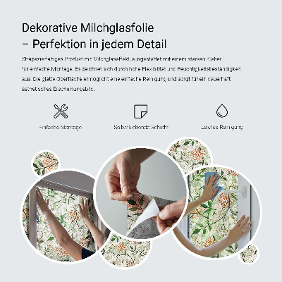 Ornamente clasice Folie decorativă geam vitraliu