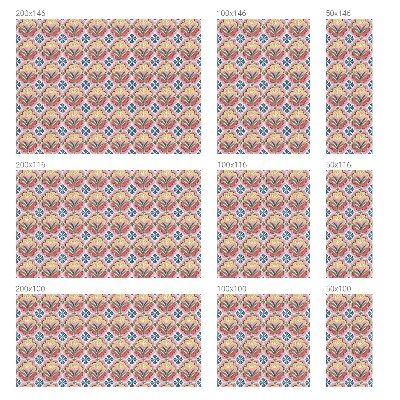 Modele florale Folie autocolantă geam