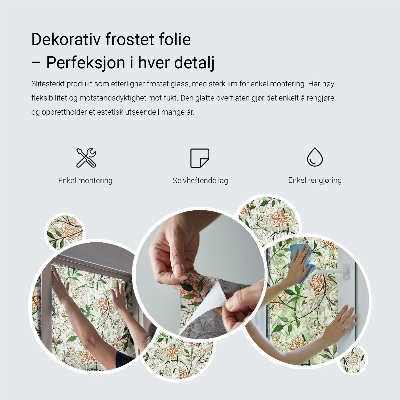 Model organic Folie autocolantă geam