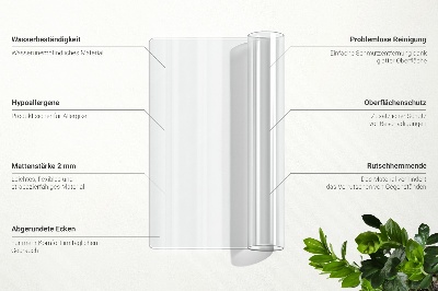 Covoraș universal de protecție transparent