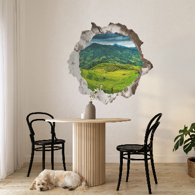 Sticker perete gaură 3D 100x95 Terase verzi