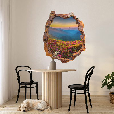 Autocolant spărtură 3D 50x60 Munții de flori