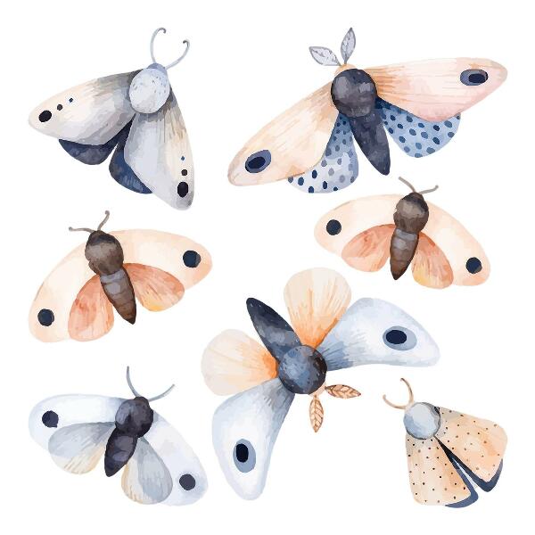 Autocolant de perete 80x103 Molii pastelate în stil boho cu insecte colorate