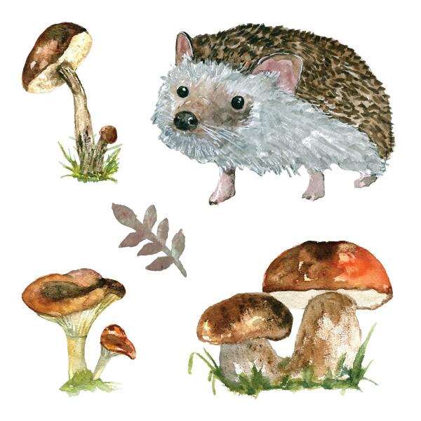 Autocolant perete 80x124 Compoziția pădurii de plante și animale în acuarelă