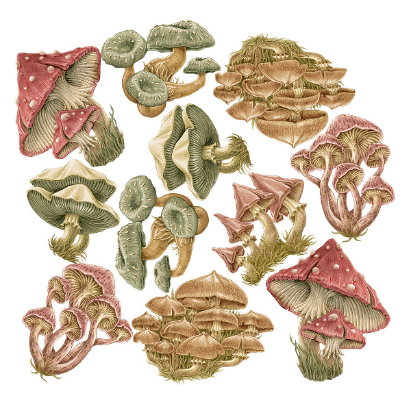 Autocolant de perete 80x32 Ciuperci de pădure în stil de desene animate pastel