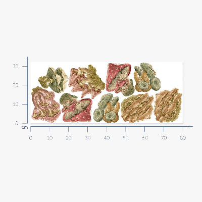 Autocolant de perete 80x32 Ciuperci de pădure în stil de desene animate pastel