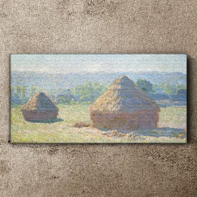 Tablou canvas Soarele de vară peste carpi de fân