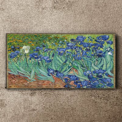 Tablou canvas Irisi în grădină