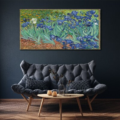 Tablou canvas Irisi în grădină