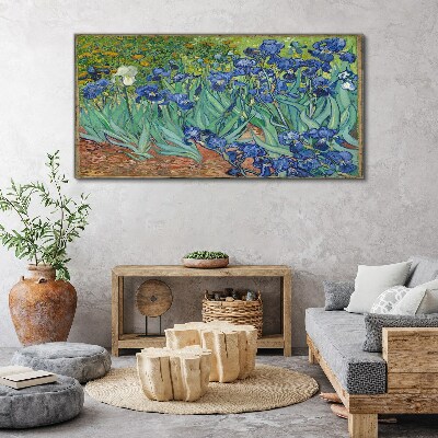 Tablou canvas Irisi în grădină