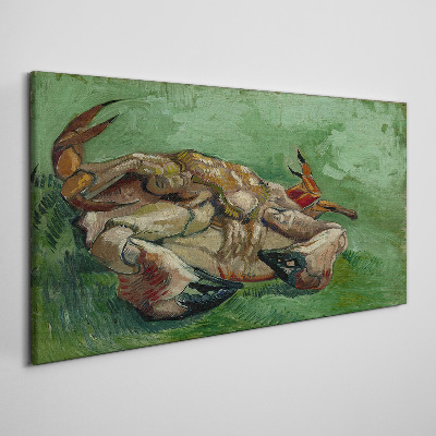 Tablou pe panza Crab întins pe spate