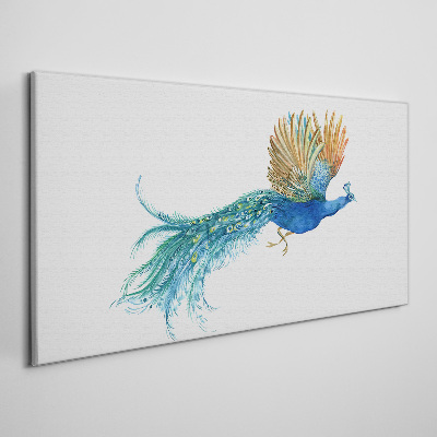 Tablou canvas Păun colorat în mișcare