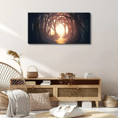 Tablou canvas Lumină în pădure