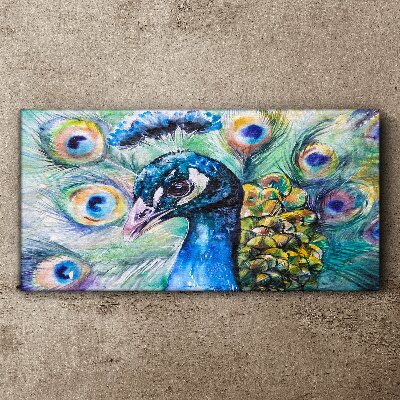 Tablou canvas Păun colorat printre pene