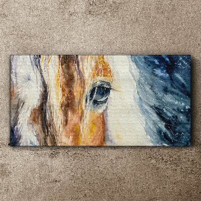 Tablou canvas Portret de cal acuarela